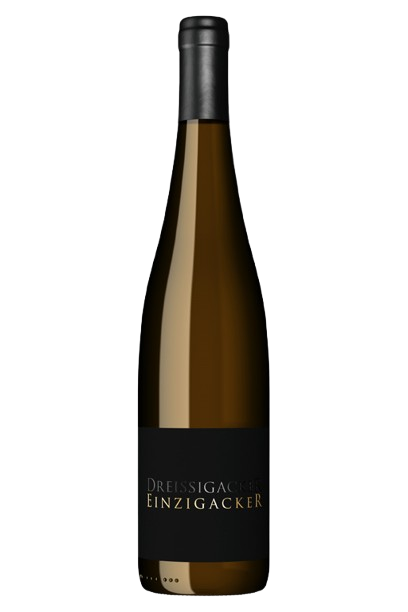 EINZIGACKER-removebg-preview