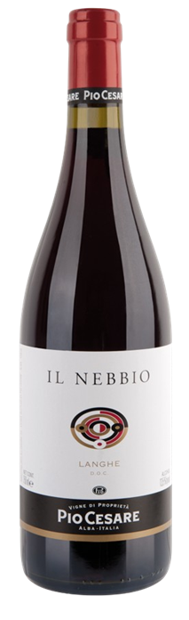 il-nebbio-314x1024-removebg-preview