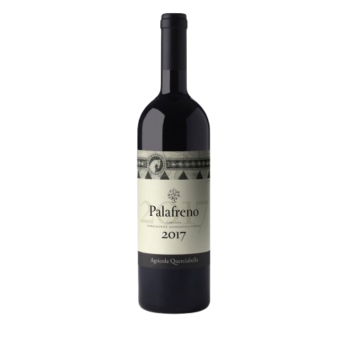 Palafreno_2017-removebg-preview
