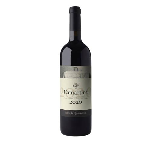 Camartina_2020-removebg-preview