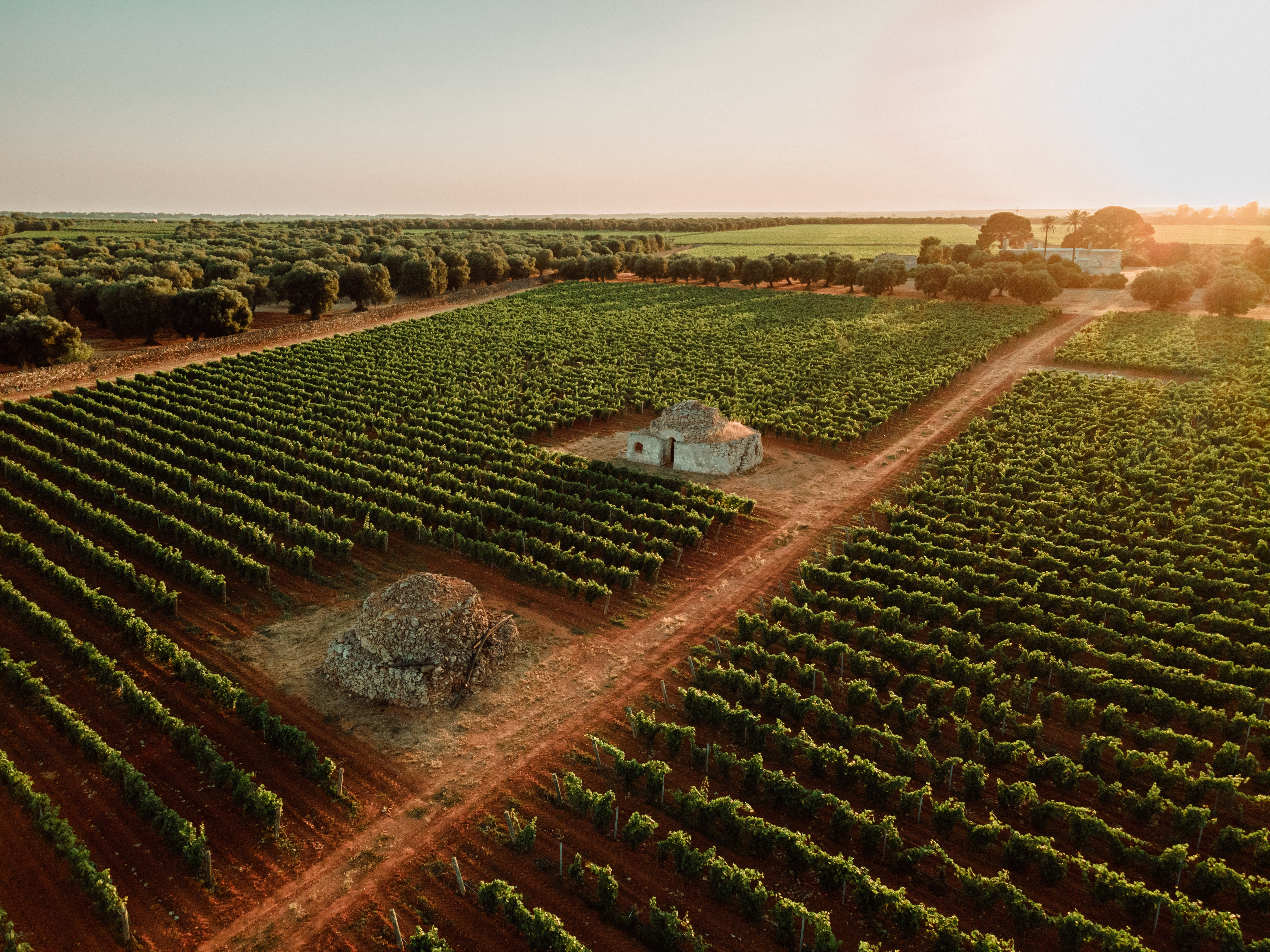 MBDT@FedericoBontempi drone-2