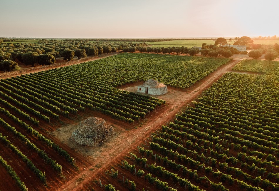 MBDT@FedericoBontempi drone-2