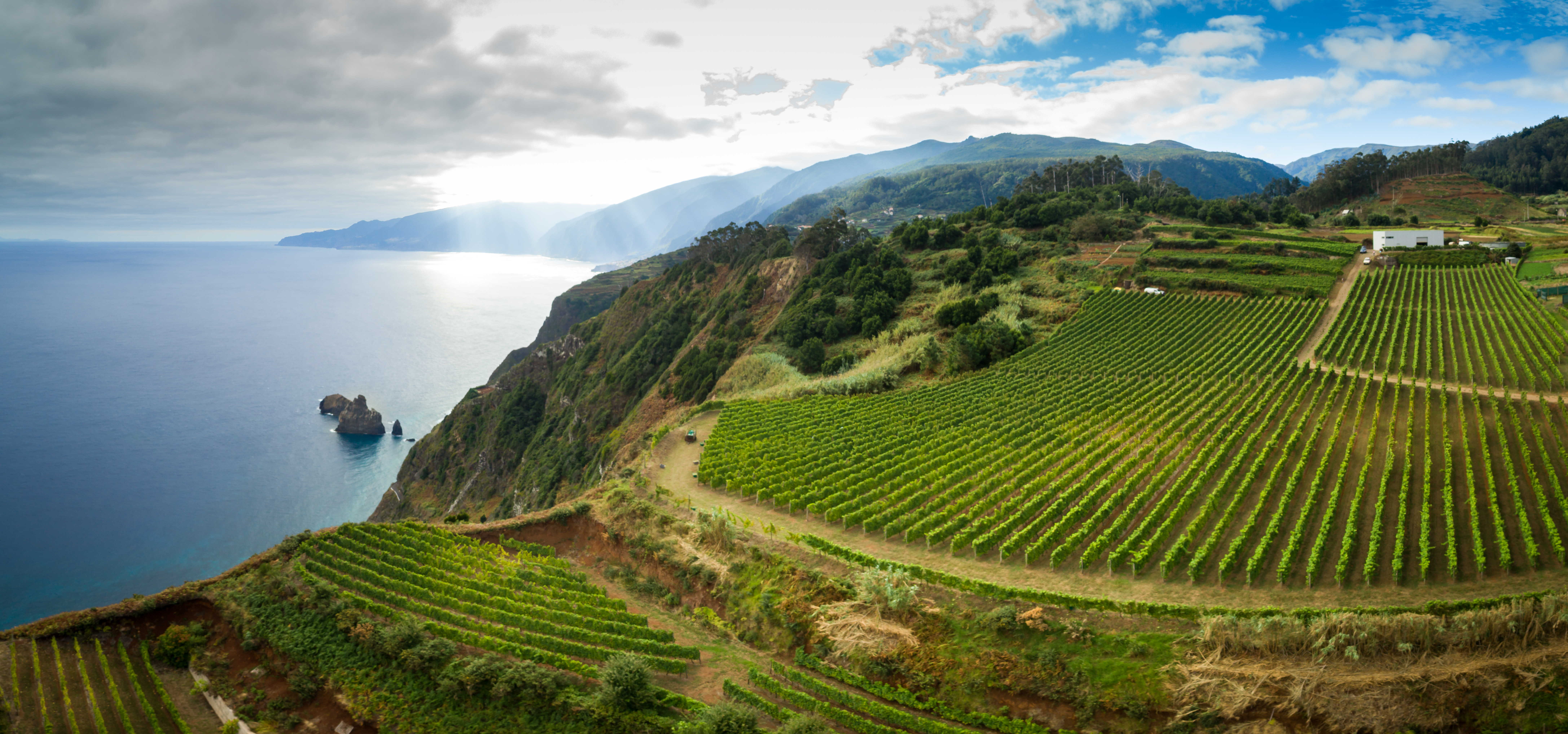 Ilha da Madeira_Landscape_1