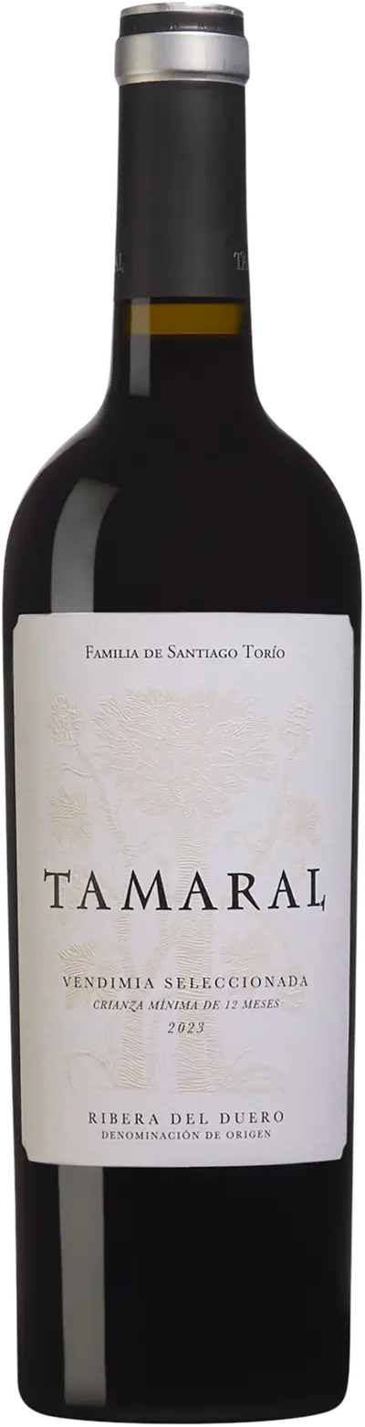 tamaral_ny