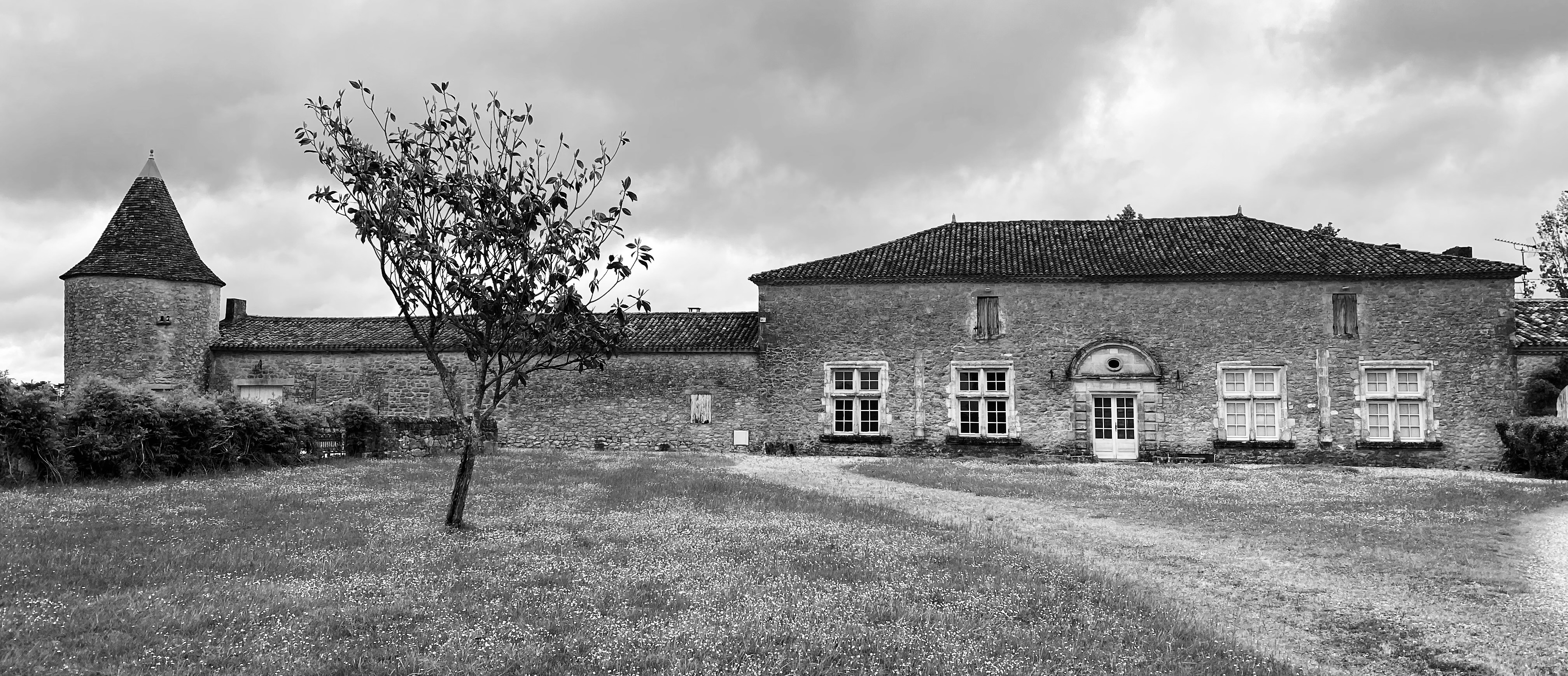 IMG_2383