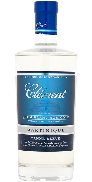 canne-bleue-bouteille