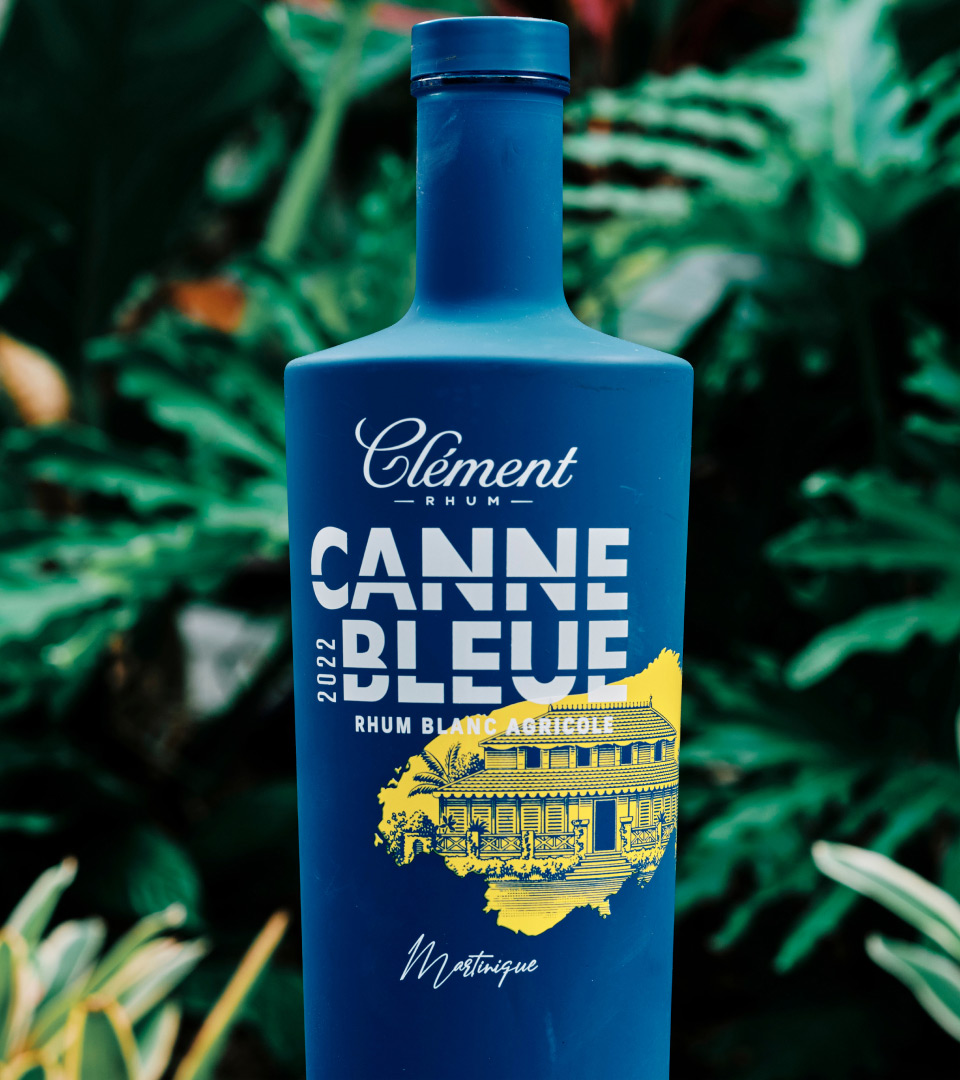 canne-bleue-2022-presentation-01