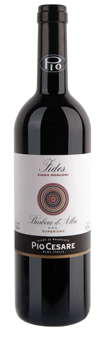 barbera-superiore-fides