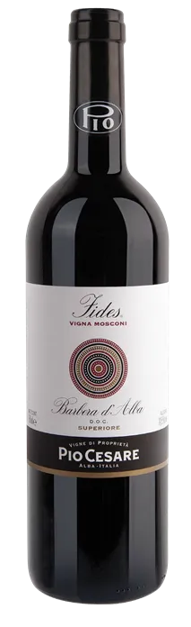 barbera-superiore-fides