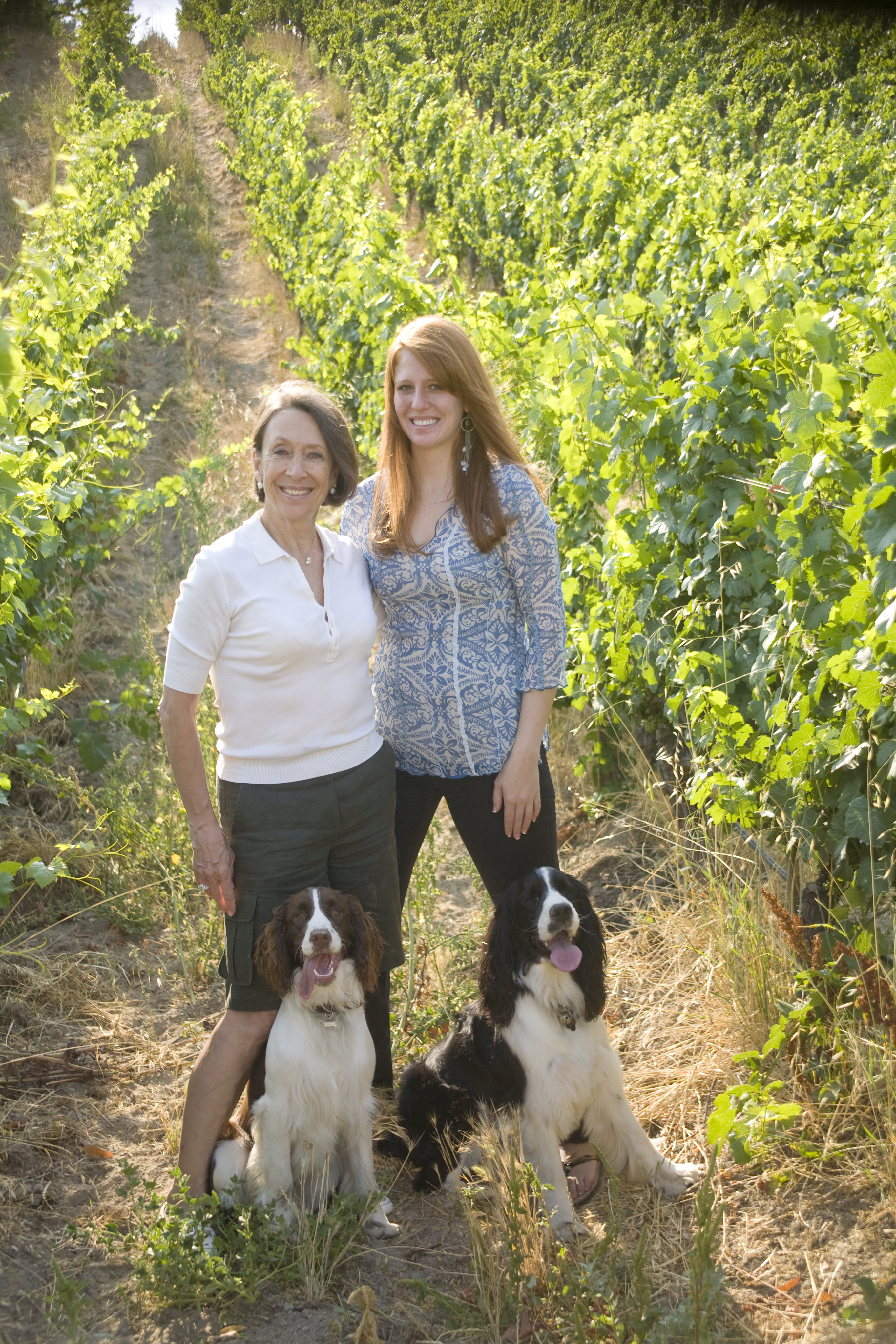 2-CMT-MMT w Dogs in Vyd