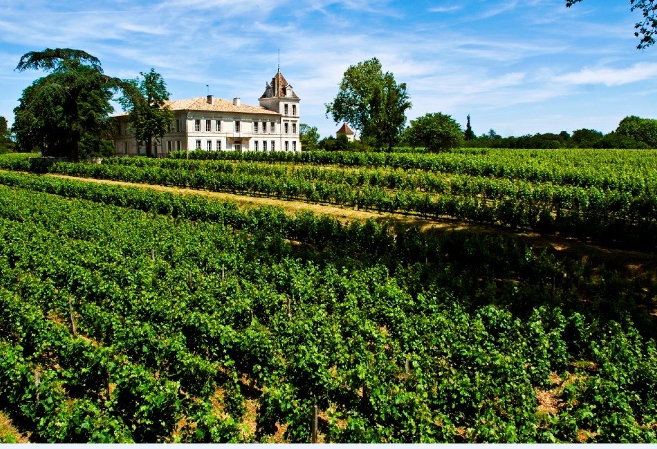 DOMAINE