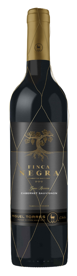 Finca_Negra_GGRR_CS-removebg-preview