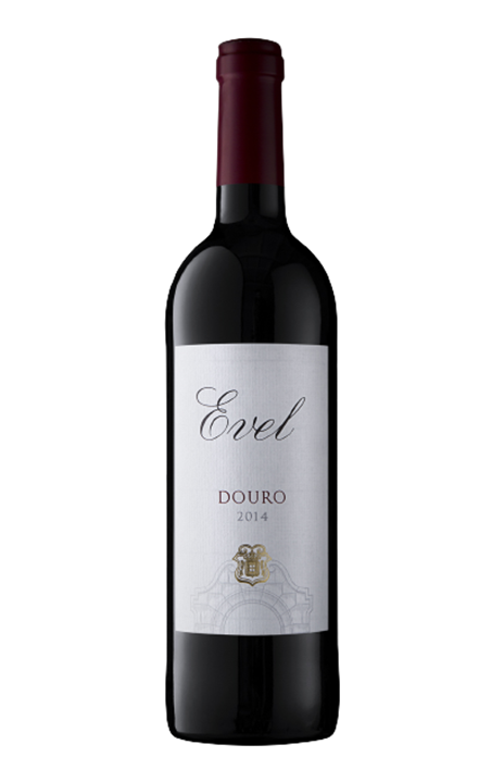 EvelDouro2014VT_72-removebg-preview