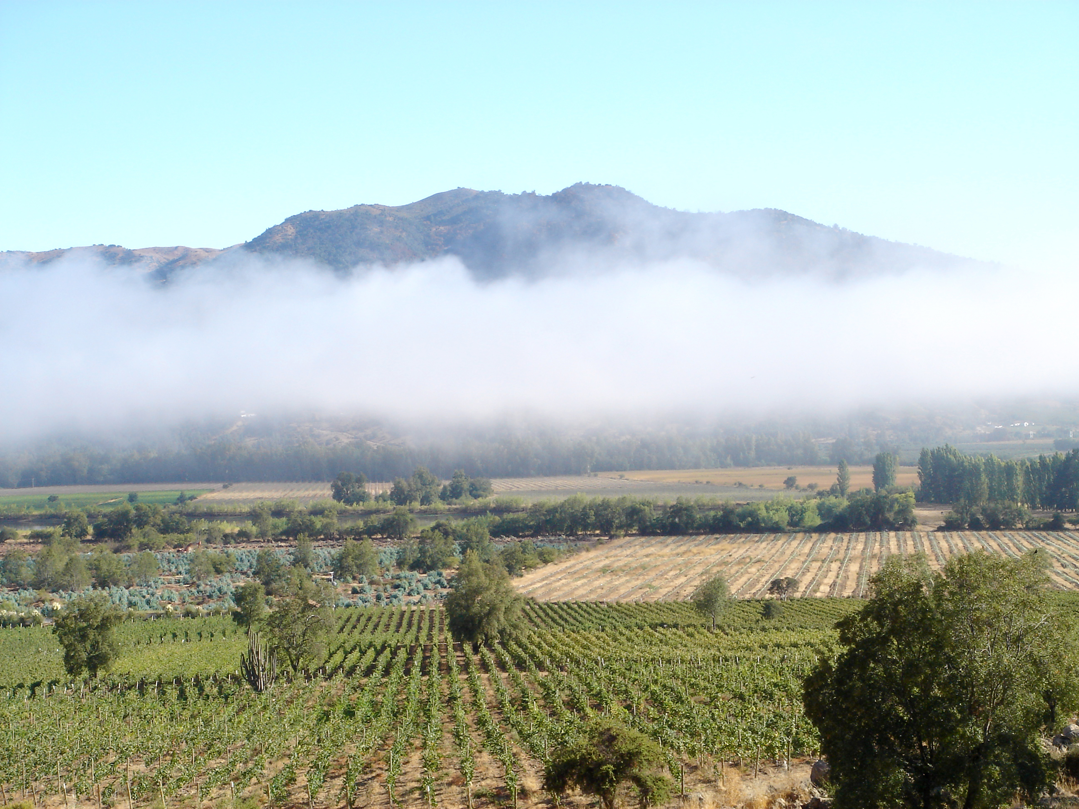 WSC_Hacienda_Araucano_Cloud