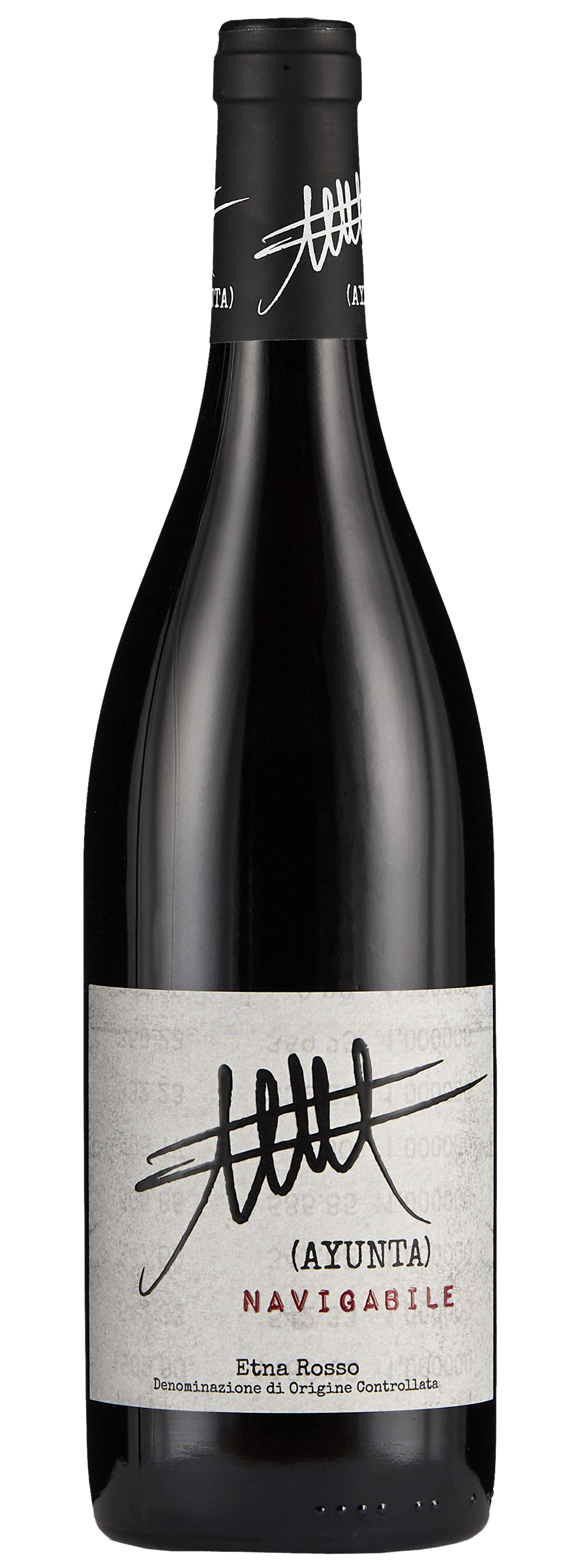 WSC_Ayunta_Navigabile_750