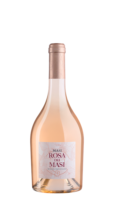 Rosa dei Masi