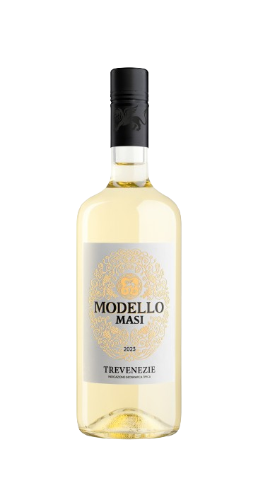Modello_Trevenezie_Bianco_2023-removebg-preview