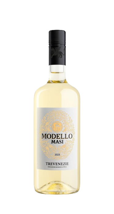 Modello_Trevenezie_Bianco_2023-removebg-preview